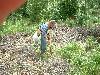 2003_0612_144411AA.jpg
